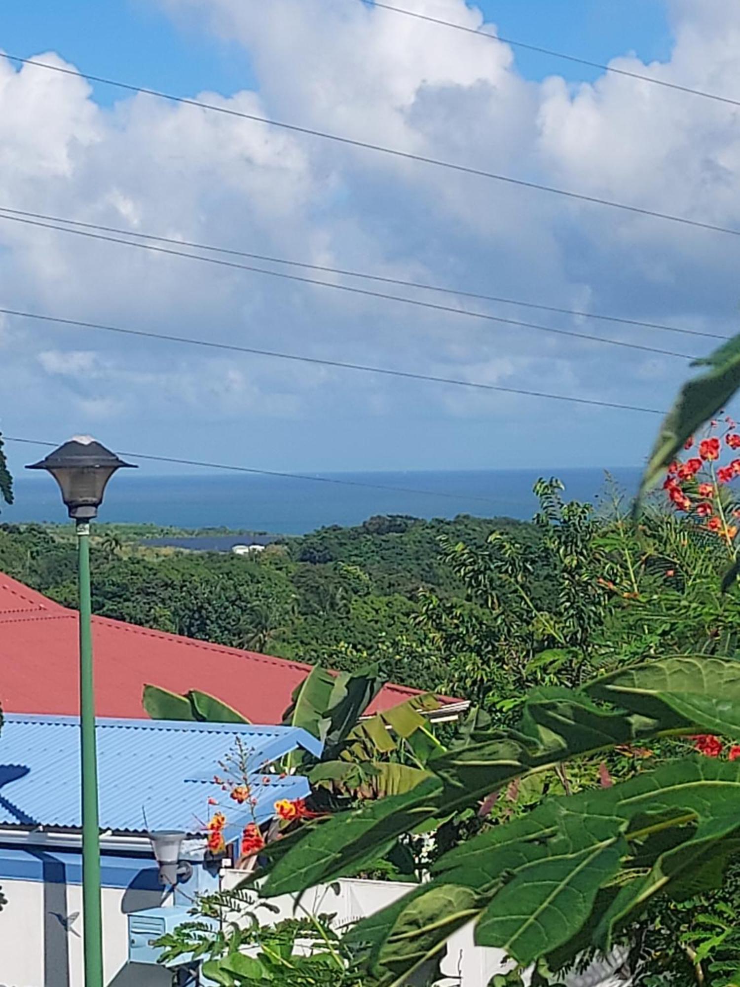 Le Petit Paradis Sainte-Rose Exteriör bild